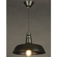 Светильник Citilux CL450204 Эдисон