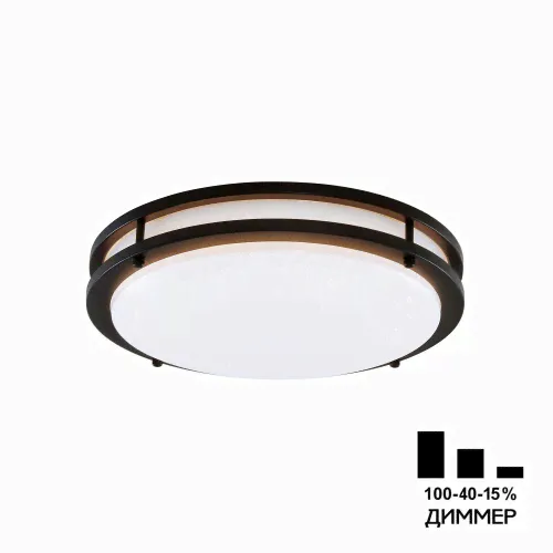 Светильник накладной Citilux CL709325N Бостон-2