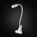 Лампа настольная Citilux Ньютон CL803060N