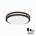 Светильник накладной Citilux CL709325N Бостон
