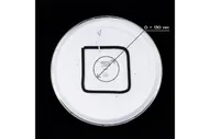 Умная люстра Citilux Старлайт Смарт CL703A80G Хром