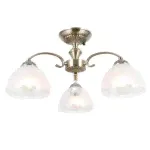 Люстра потолочная Citilux CL417133 Франческа-1