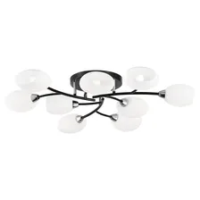 Люстра потолочная Citilux CL148195 Флорида