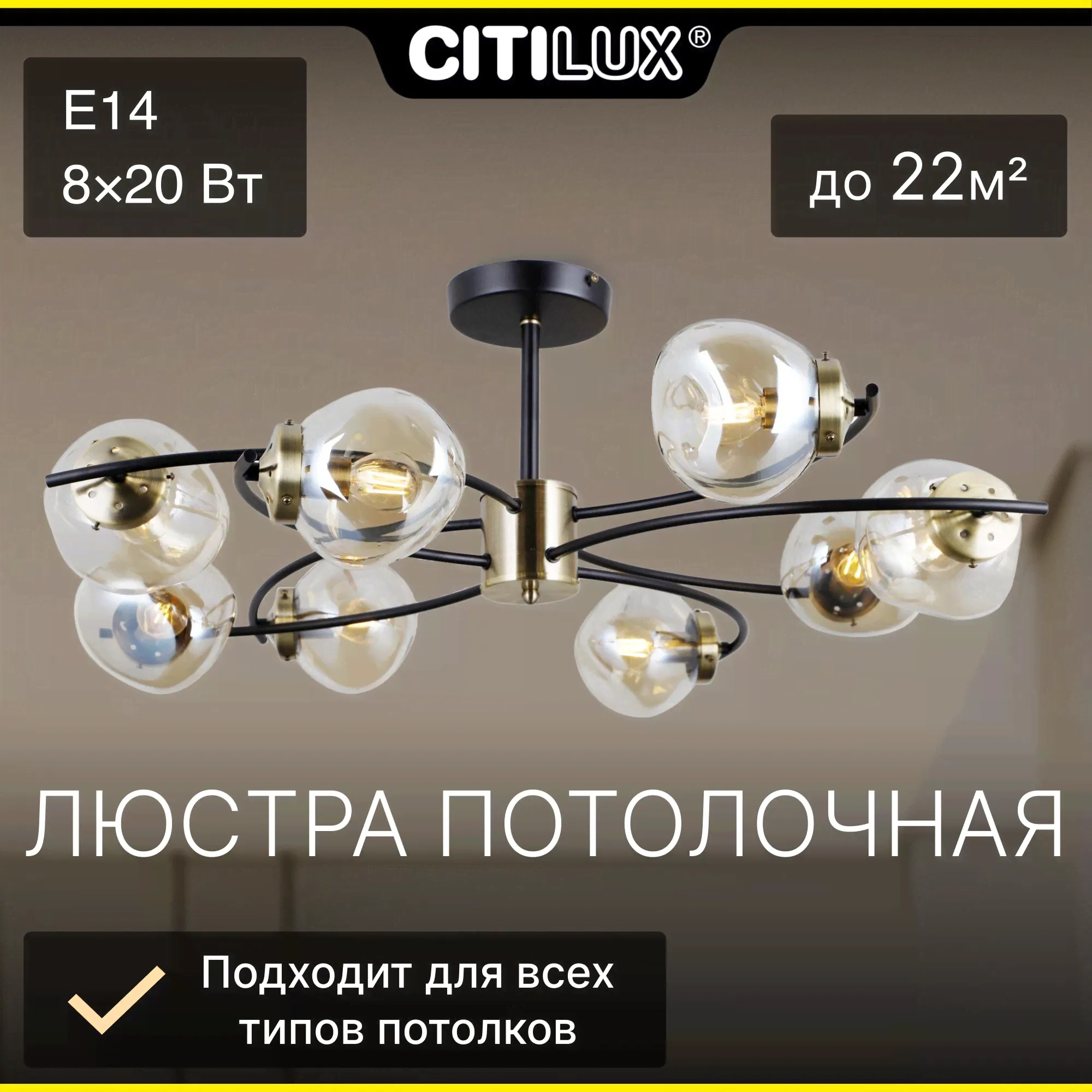 Потолочный светильник Citilux Фабула CL110185-0