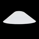 Плафон CITILUX ЭДИСОН CL450.12