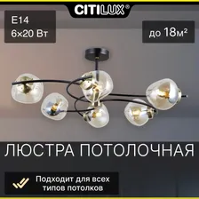 Потолочный светильник Citilux Фабула CL110165