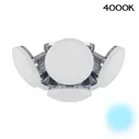 Citilux CL716161Nz Тамбо Светильник Люстра 6*12W*4000K