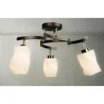 Люстра Citilux CL126131 Берта