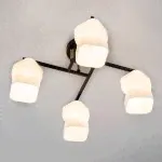 Люстра потолочная Citilux CL129245 Джером-4