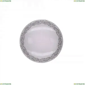 CL917010 Настенный светильник CITILUX, Вьюнок