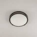 Светильник накладной Citilux CL709325N Бостон-3