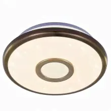 Настенно-потолочный светильник Citilux CL70313 СтарЛайт